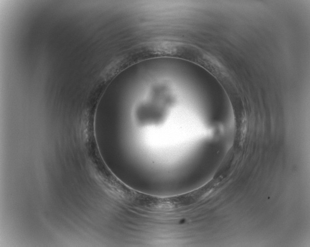 X0000070410600200606121332