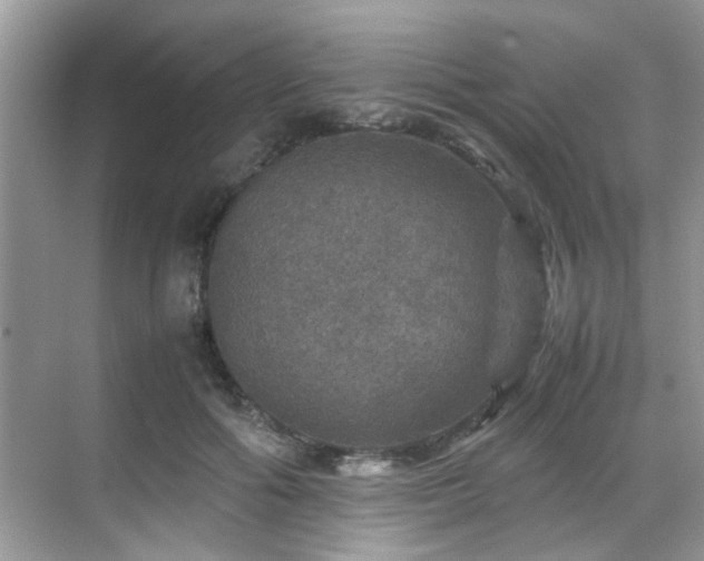 X0000070410602200606121332