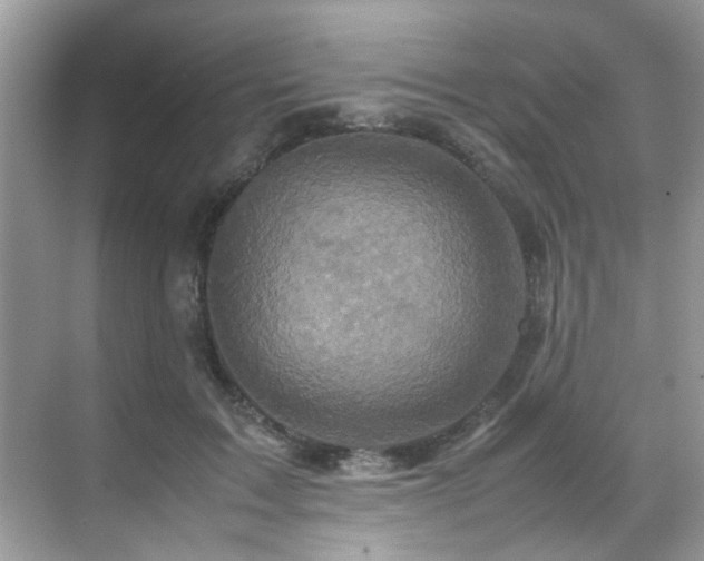 X0000070410603200606121332