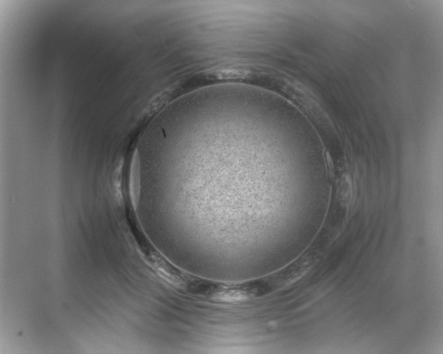 X0000070410604200606121332