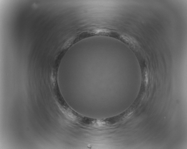 X0000070410607200606121332