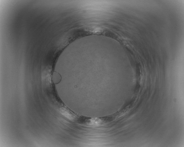 X0000070410612200606121331