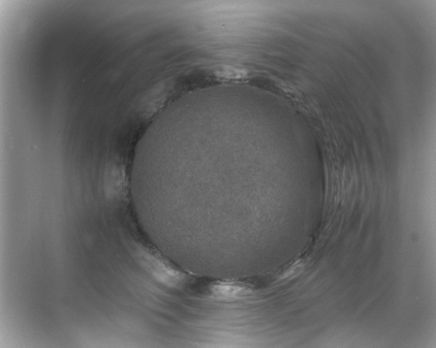 X0000070410614200606121331