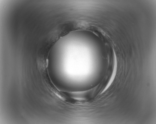 X0000070410617200606121331