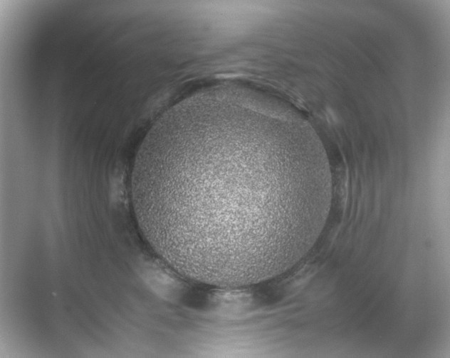 X0000070410619200606121331