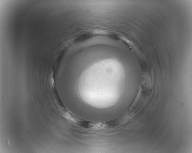 X0000070410621200606121331