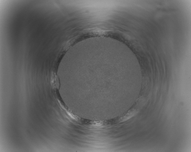 X0000070410624200606121331