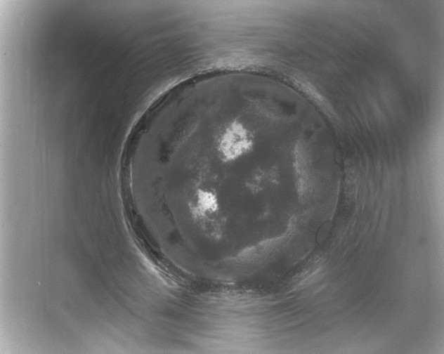 X0000070410626200606121330