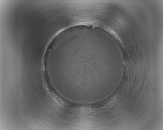 X0000070410628200606121331