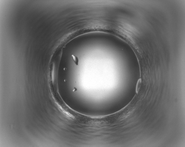 X0000070410629200606121331