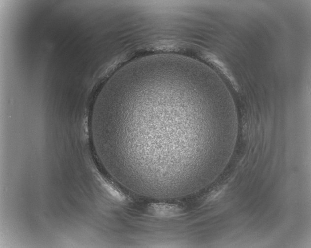 X0000070410633200606121331