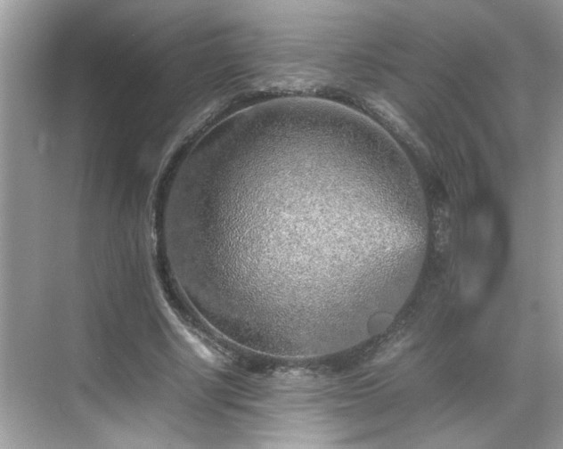 X0000070410634200606121331