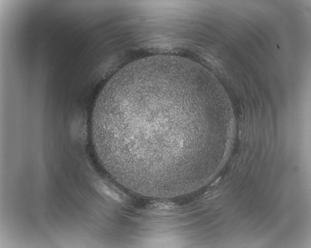 X0000070410642200606121331