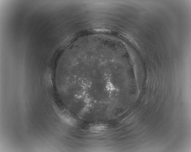 X0000070410643200606121331