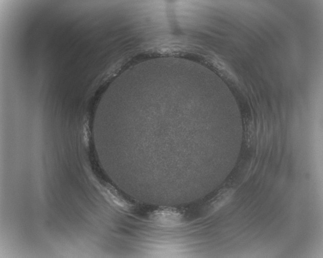 X0000070410644200606121331