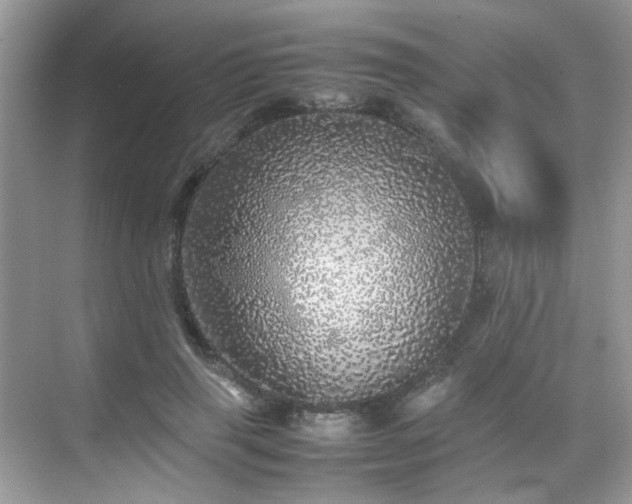 X0000070410645200606121331