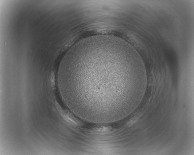 X0000070410646200606121331