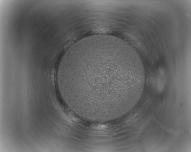 X0000070410647200606121331