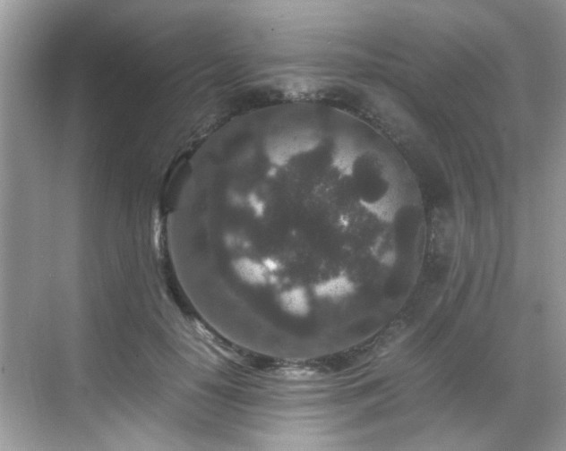 X0000070410650200606121331