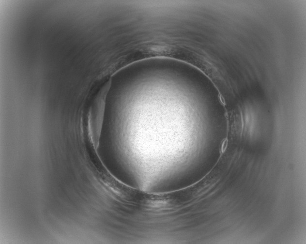 X0000070410651200606121331