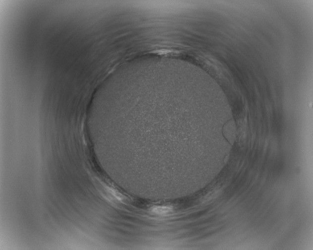 X0000070410653200606121331