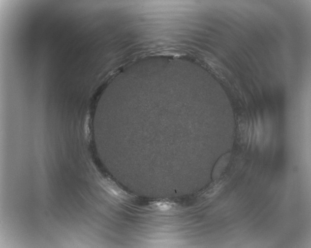 X0000070410654200606121331