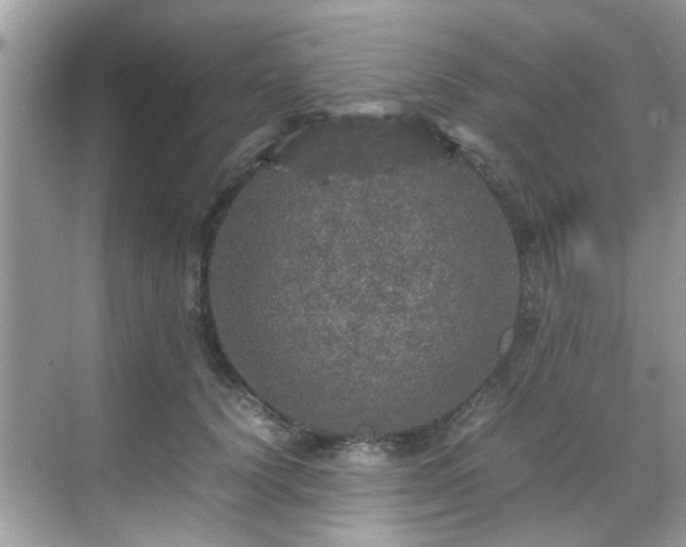 X0000070410656200606121331