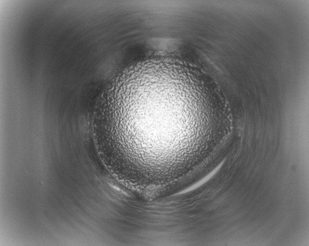 X0000070410657200606121331