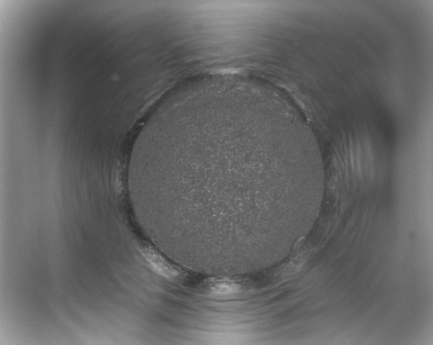 X0000070410658200606121331