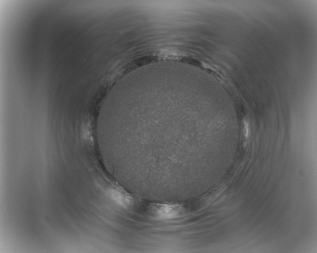 X0000070410663200606121331