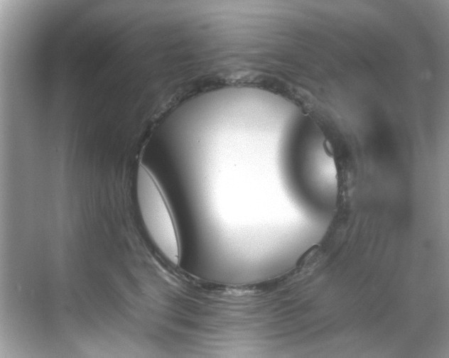 X0000070410664200606121331