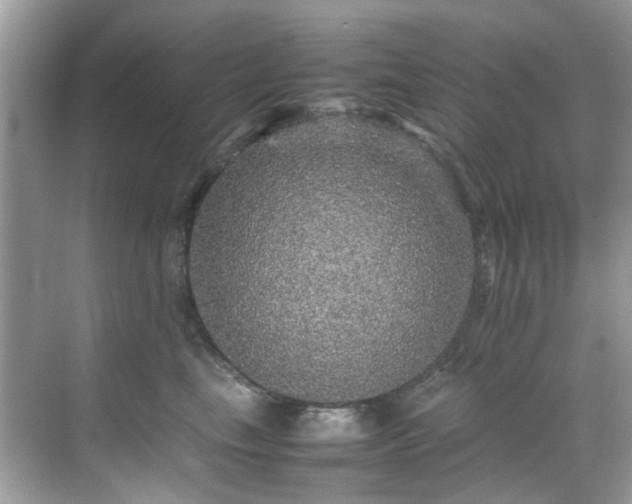 X0000070410665200606121331