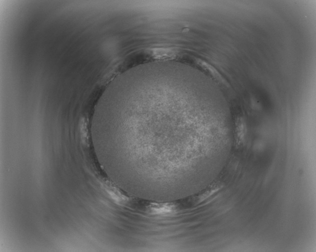 X0000070410667200606121331