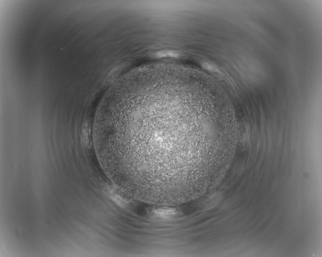 X0000070410669200606121331