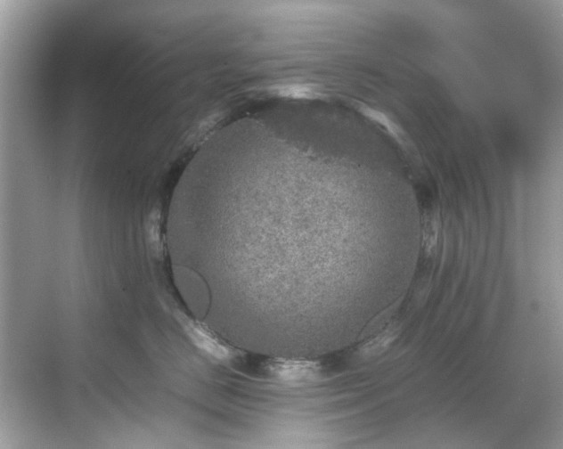 X0000070410670200606121331