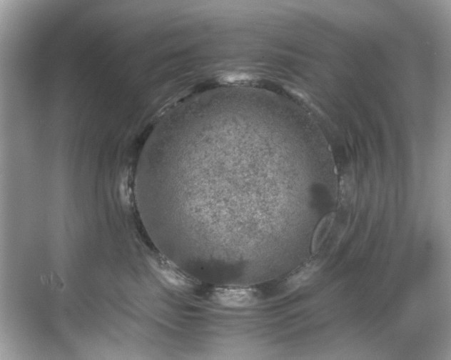 X0000070410671200606121331