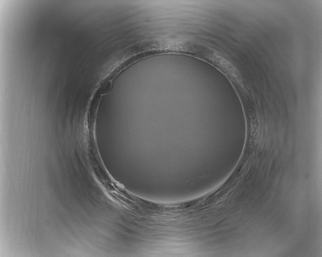 X0000070410674200606121330