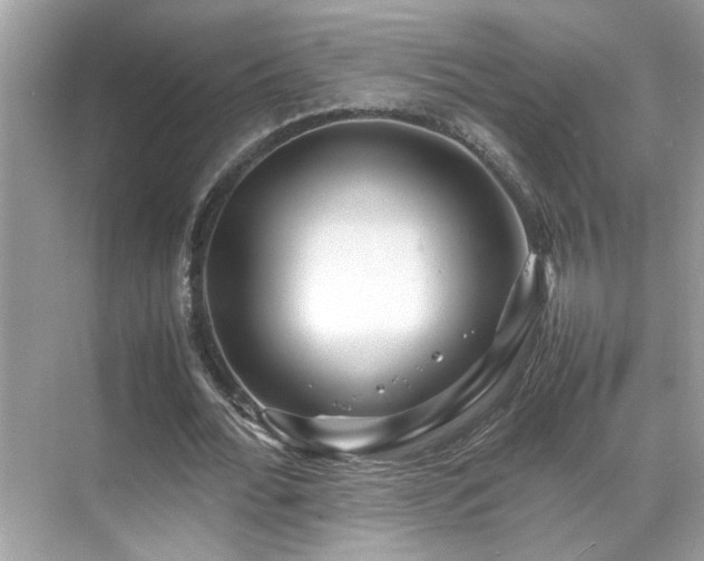 X0000070410676200606121330