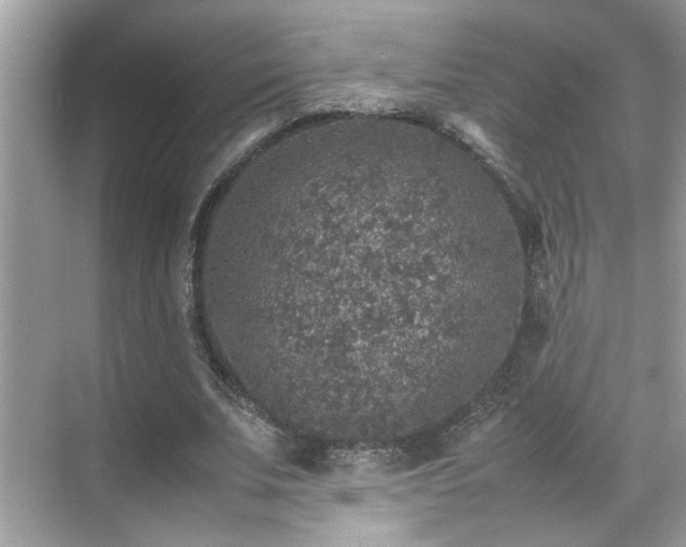 X0000070410679200606121330