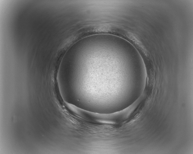 X0000070410681200606121330