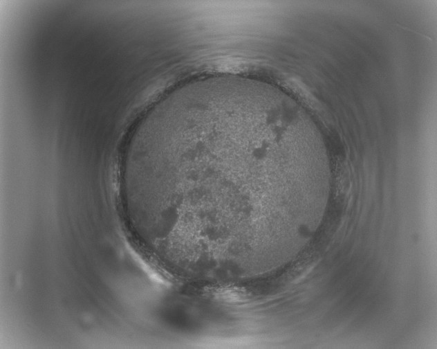 X0000070410683200606121330