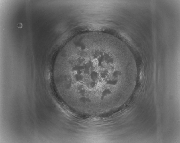 X0000070410687200606121330