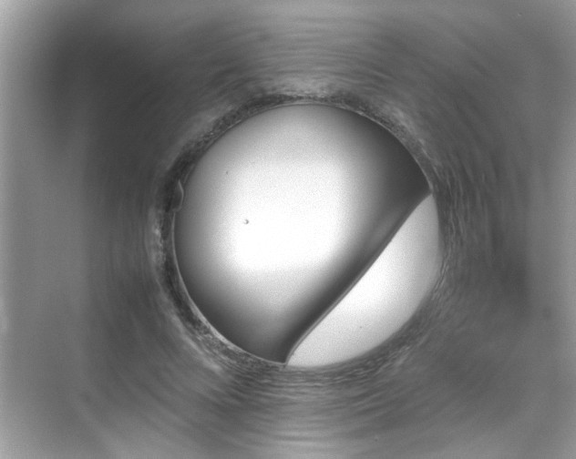 X0000070410688200606121330