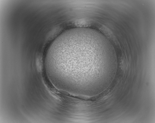 X0000070410690200606121330