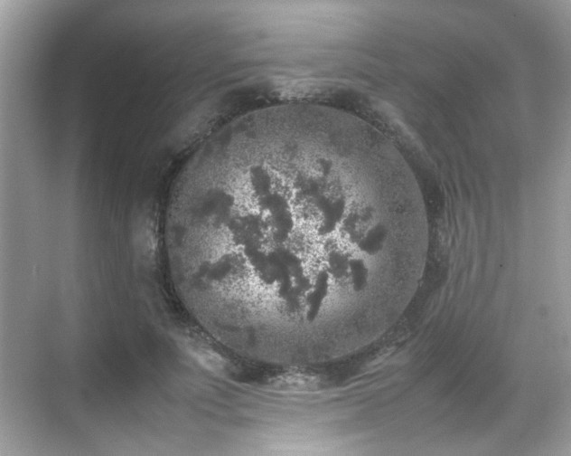 X0000070410691200606121330