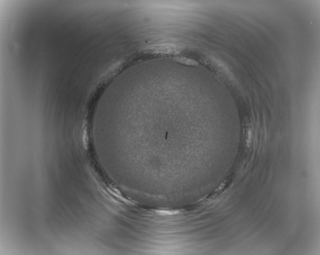 X0000070410692200606121330