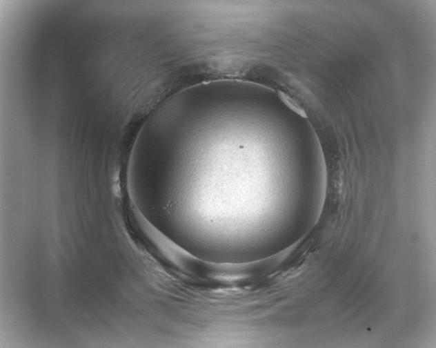 X0000070410693200606121330