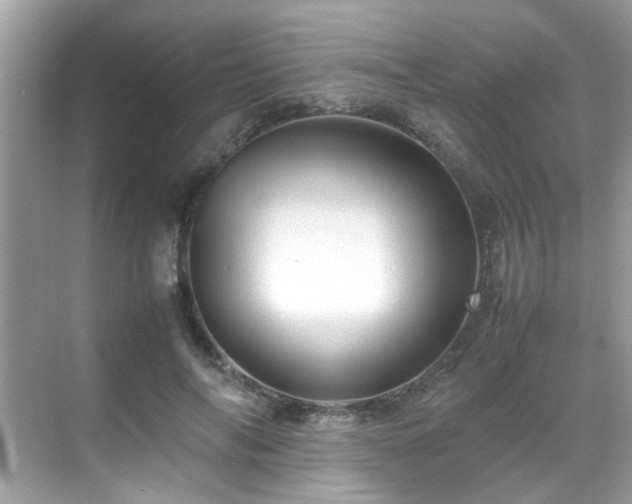 X0000070410694200606121330