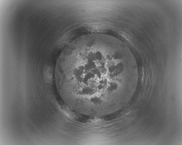 X0000070410695200606121330