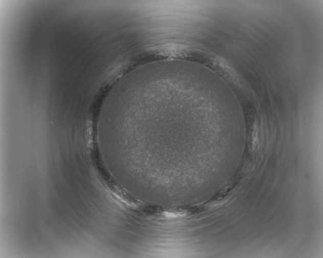 X0000070410696200606121330